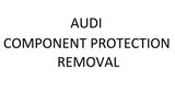 Audi Component Protection Removal Service