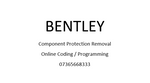 Bentley Component Protection Removal